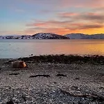 I Altafjorden בית נופש