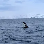 I Altafjorden Hébergement de vacances Alta