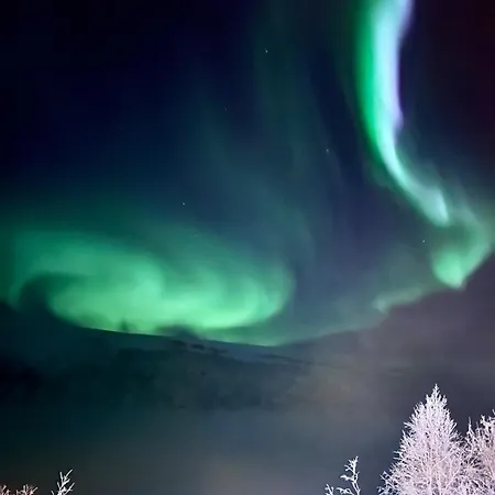 Ferienhaus I Altafjorden Alta