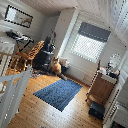 I Altafjorden