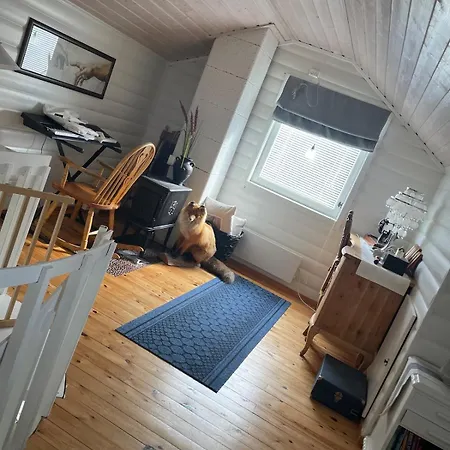 I Altafjorden
