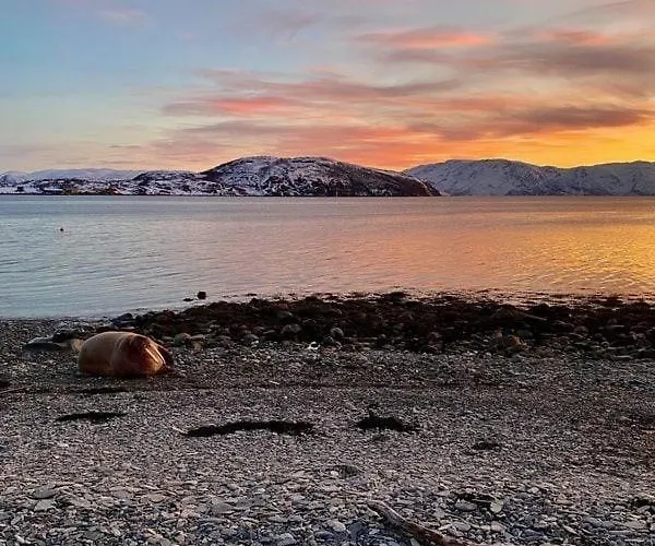 I Altafjorden Feriehus